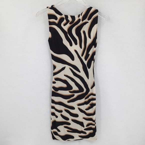 DVF Diane von Furstenberg Glasmary Zebra Shadow tan stripe silk dress new 2 - Picture 6 of 8
